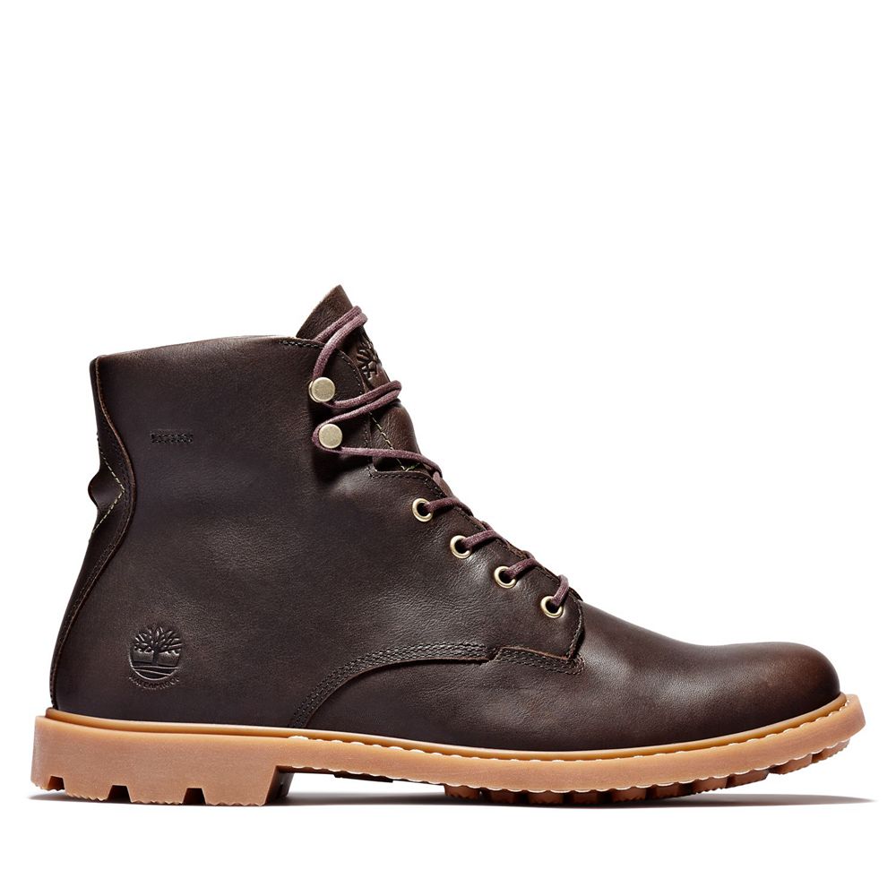 Bocanci 6-Inch Timberland Barbati Maro Inchis - Belanger Ek+ Waterproof - Romania - TEWQAM825